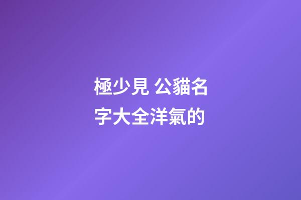 極少見 公貓名字大全洋氣的